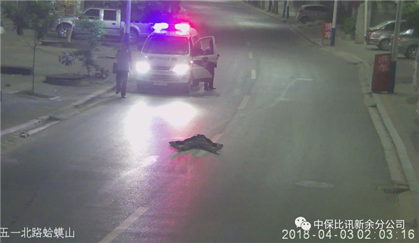图片47.jpg