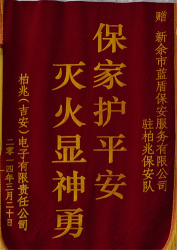 公司荣誉